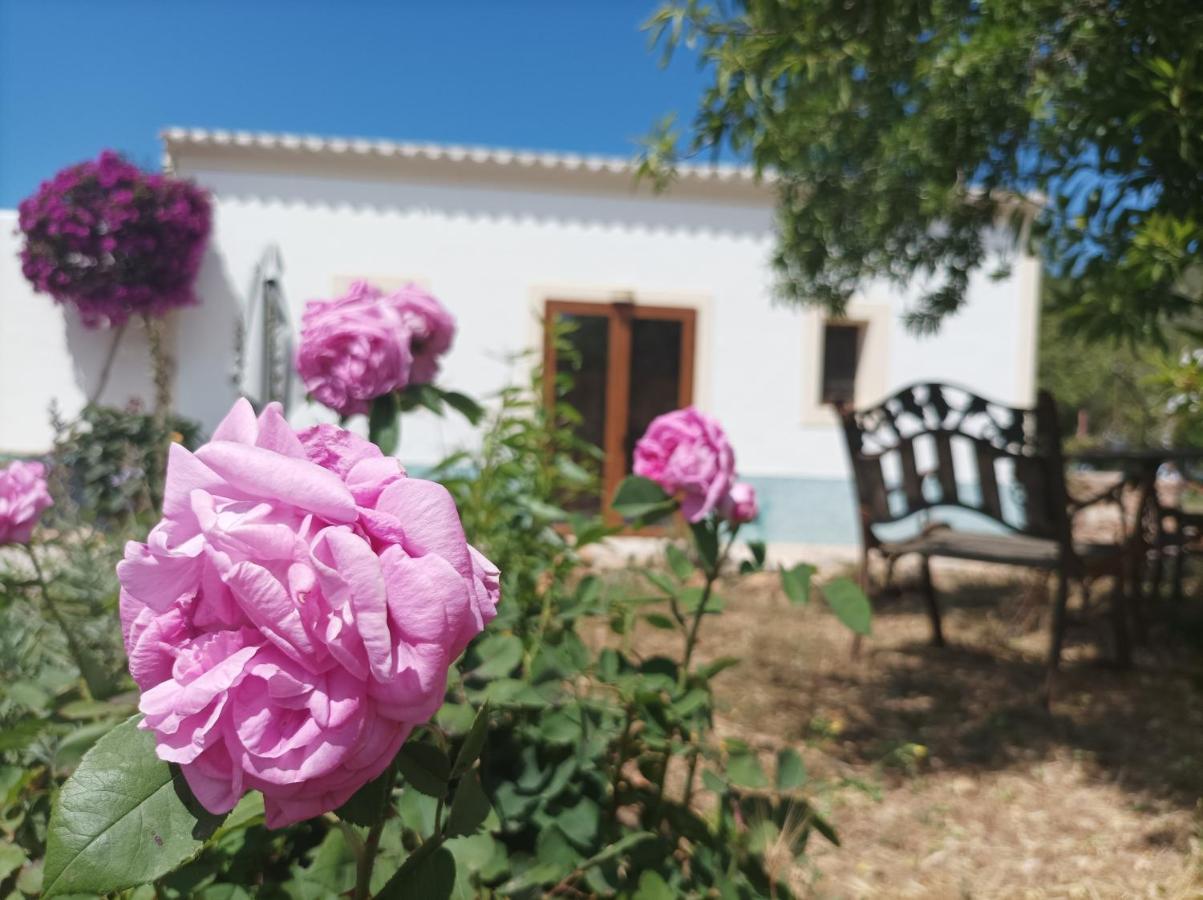 Can Pep Pardal Sant Miquel de Balansat Exterior foto